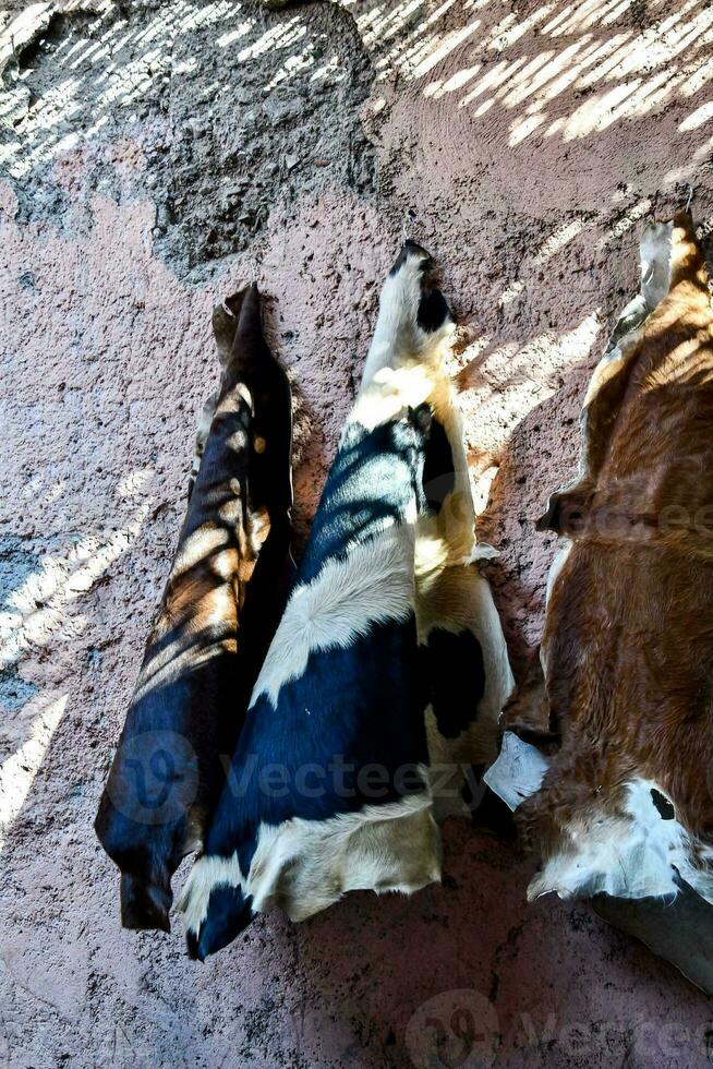 hängend Stoff auf das Mauer foto