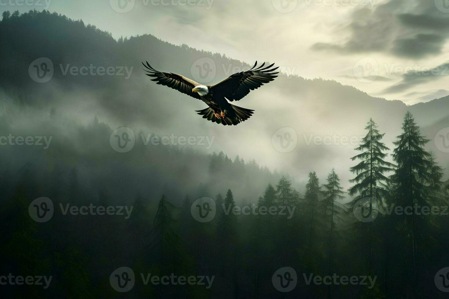 Foto von ein Adler Über das Wald im Nebel. hoch Qualität. ai generativ