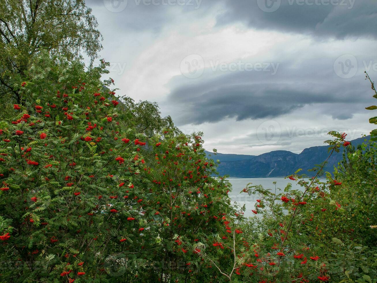 Schiff Kreuzfahrt im Norwegen foto