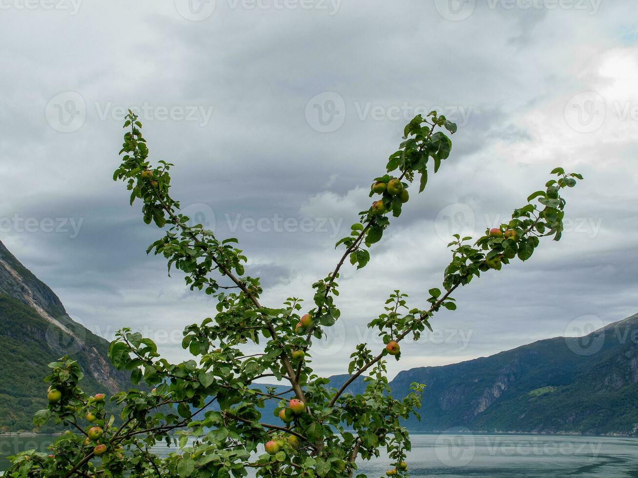 Schiff Kreuzfahrt im Norwegen foto