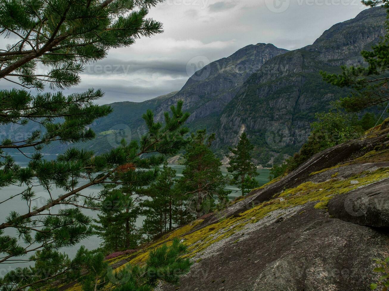 Schiff Kreuzfahrt im Norwegen foto