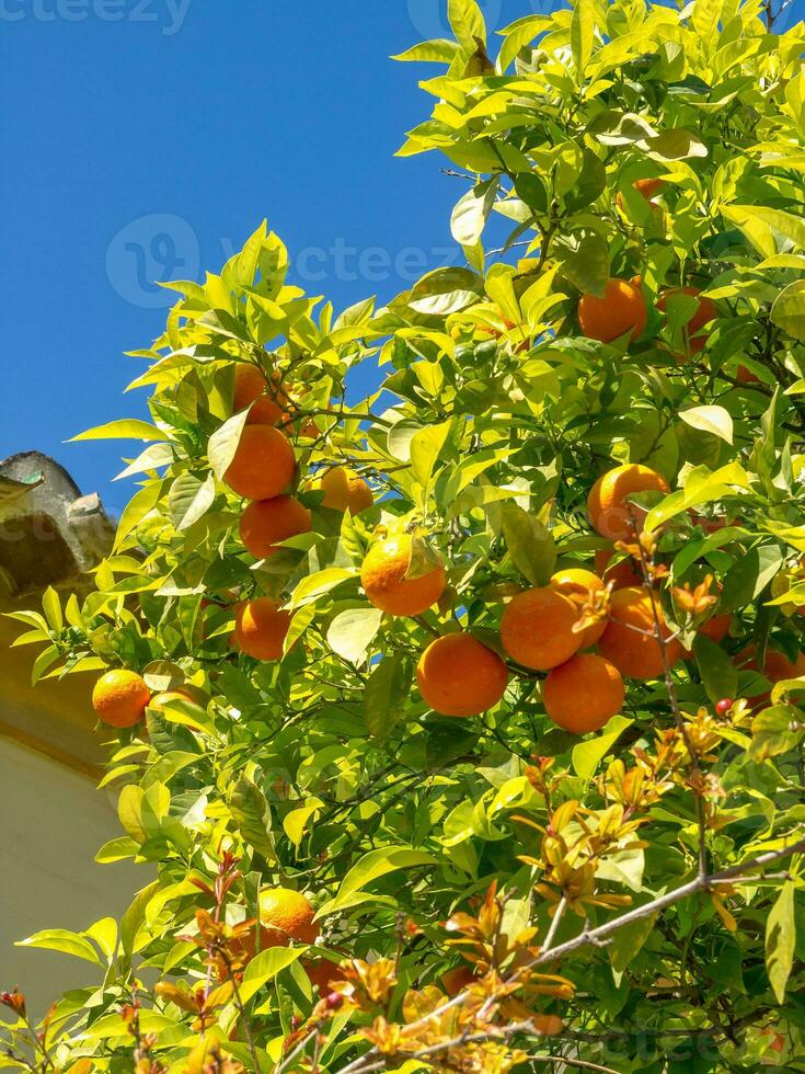 malaga stadt in spanien foto