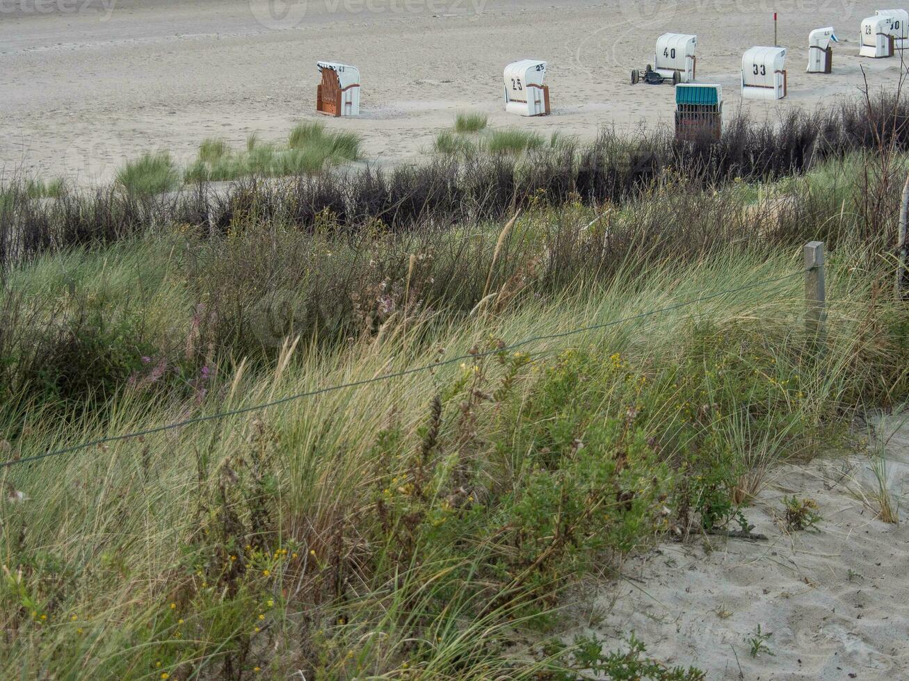 die Insel Spiekeroog foto