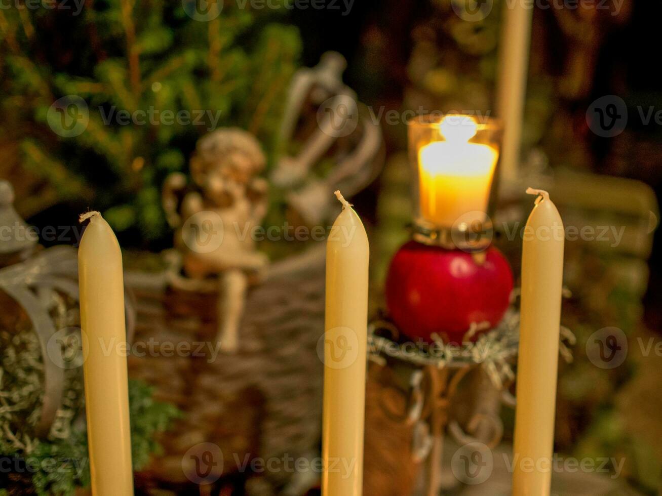 Weihnachten Zeit im das Garten foto