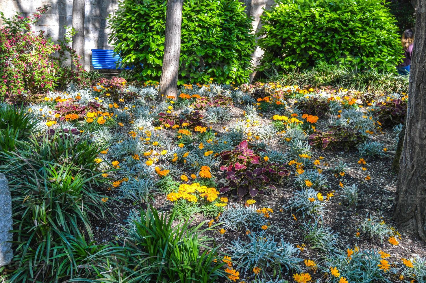 Blumenfest in Girona Temps de Flors, Spanien. 2018 foto