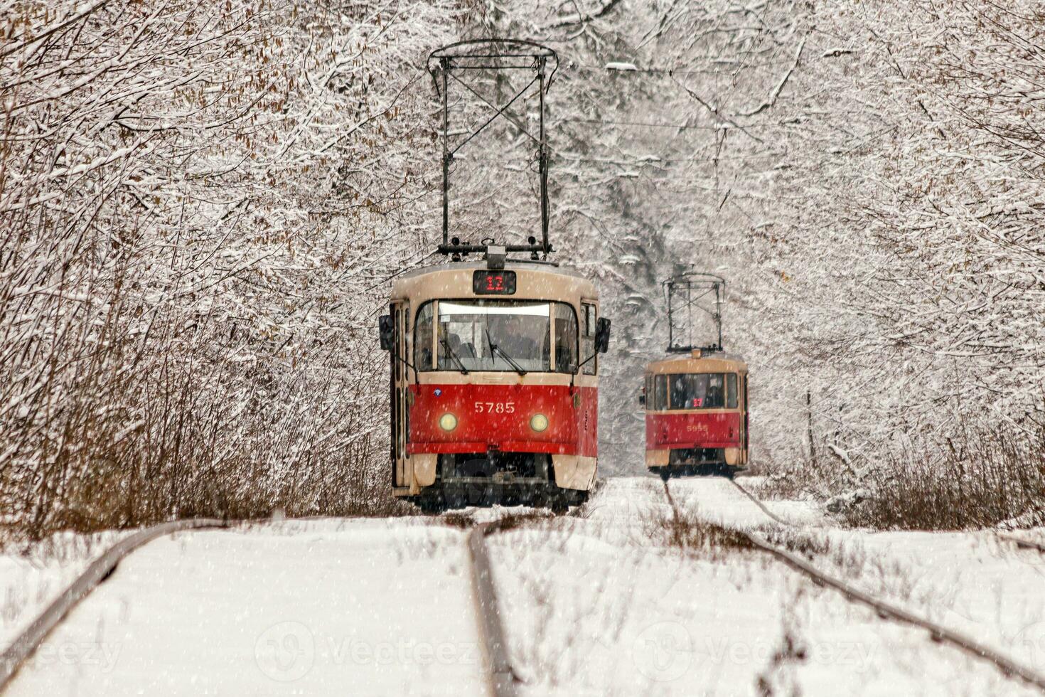 eine alte Straßenbahn, die sich durch einen Winterwald bewegt foto