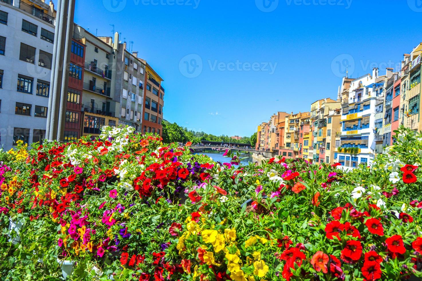 Blumenfest in Girona Temps de Flors, Spanien. 2018 foto