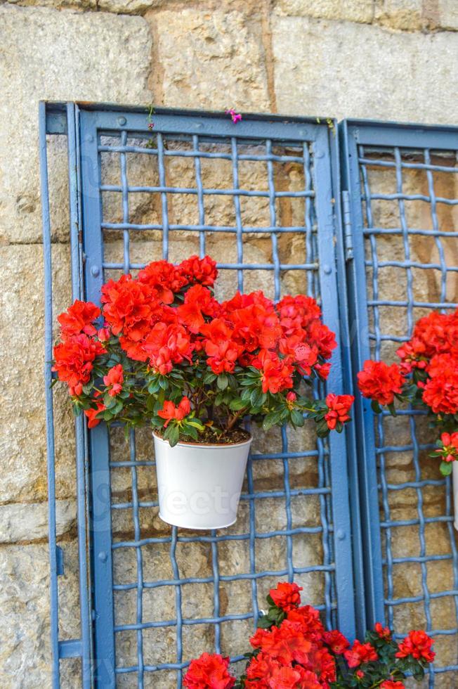 Blumenfest in Girona Temps de Flors, Spanien. 2018 foto