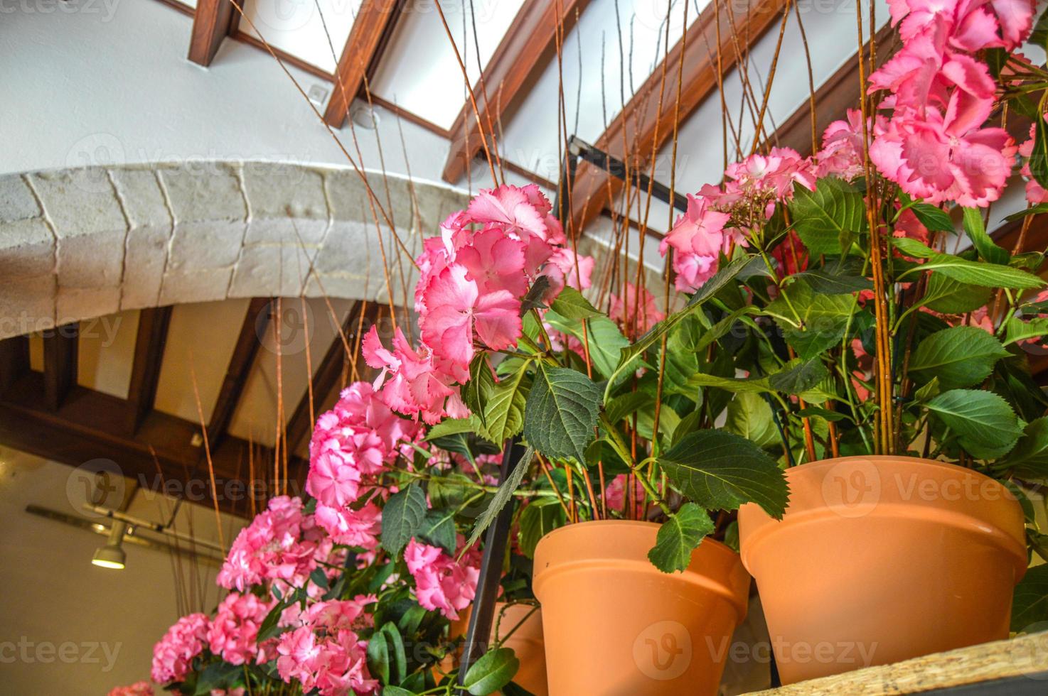 Blumenfest in Girona Temps de Flors, Spanien. 2018 foto