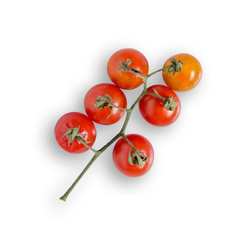 frische Tomaten auf weißem Hintergrund für mit Beschneidungspfad isoliert. foto