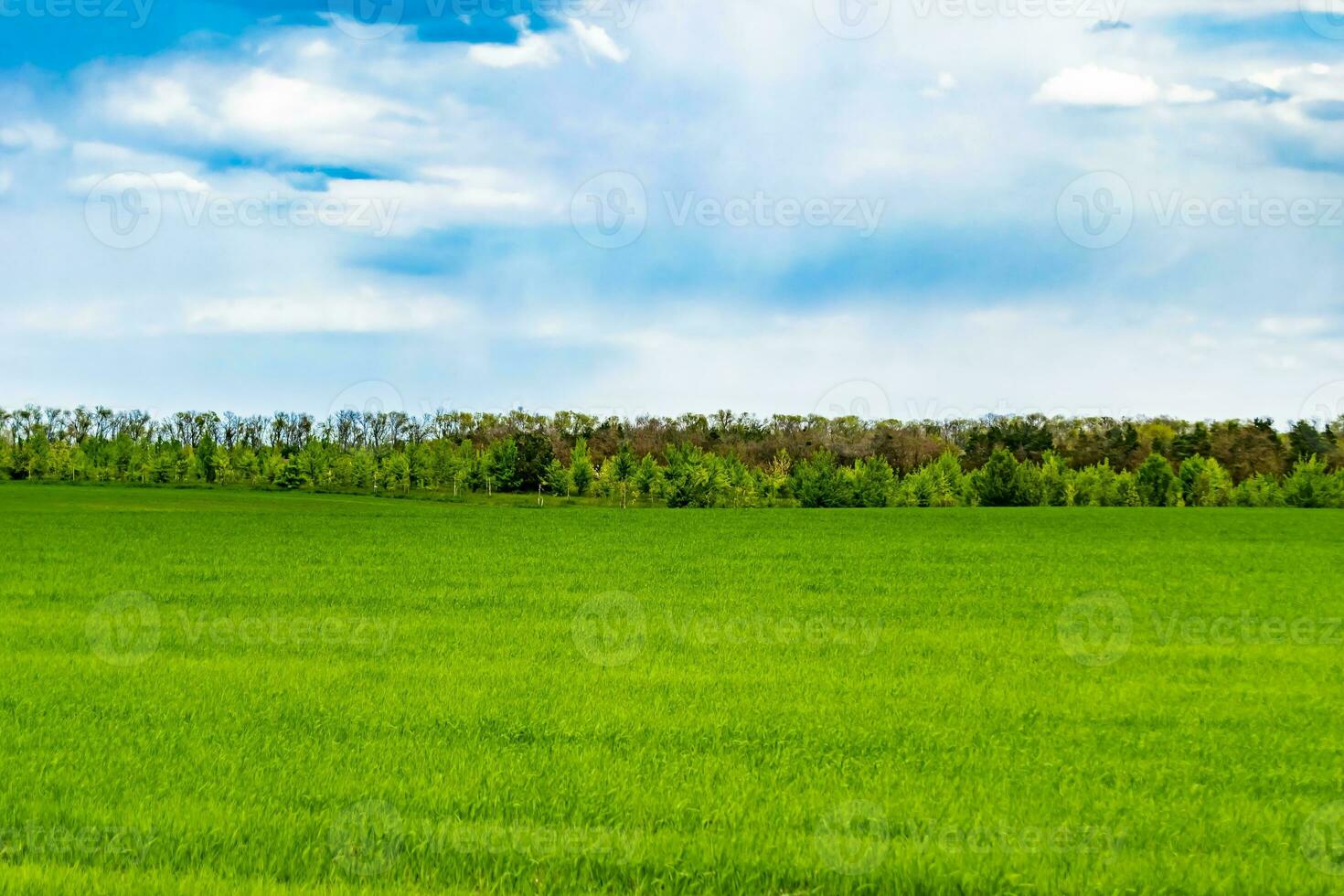 schöne horizontlandschaft in der dorfwiese auf natürlichem farbhintergrund foto