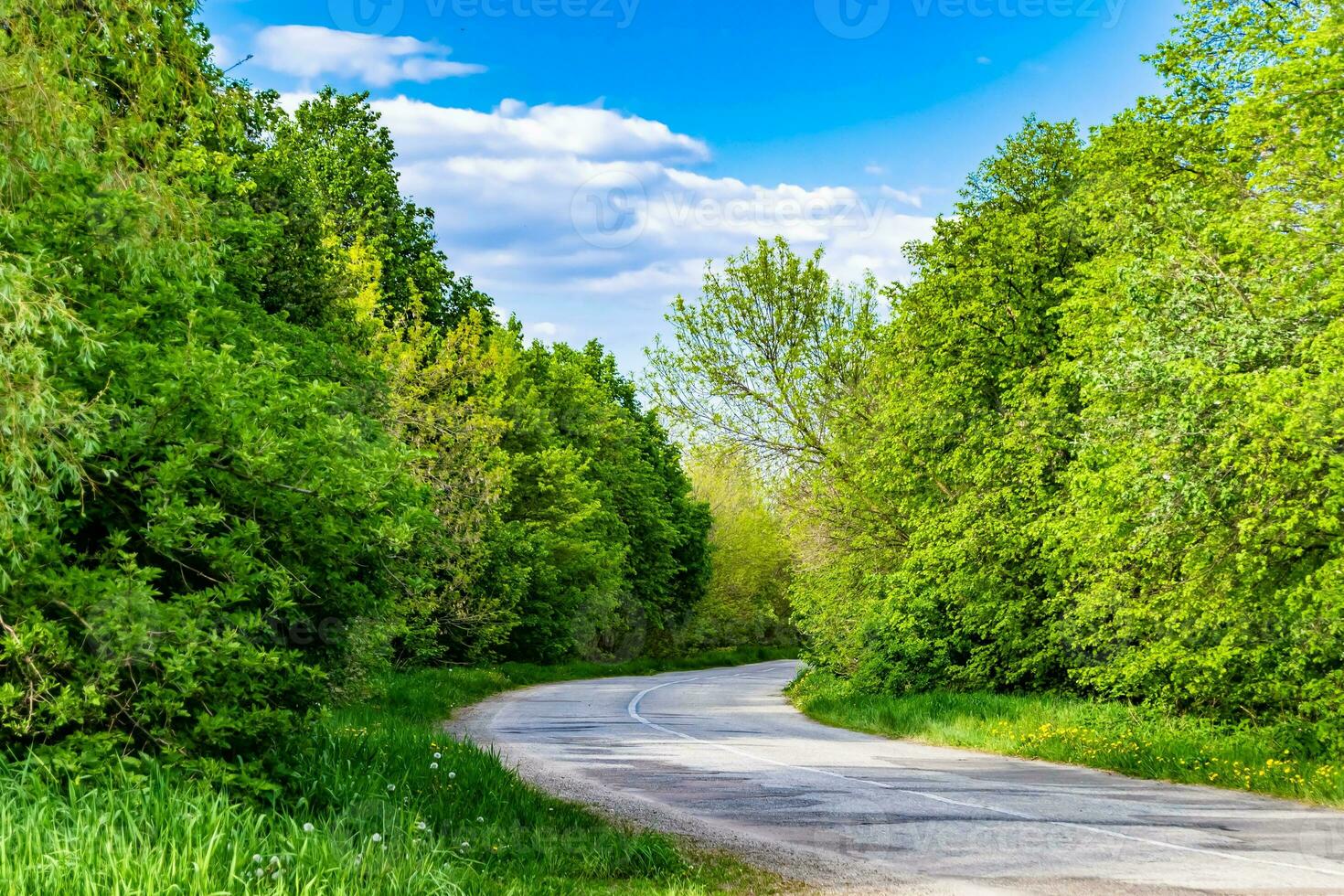 schöne leere Asphaltstraße in der Landschaft auf farbigem Hintergrund foto