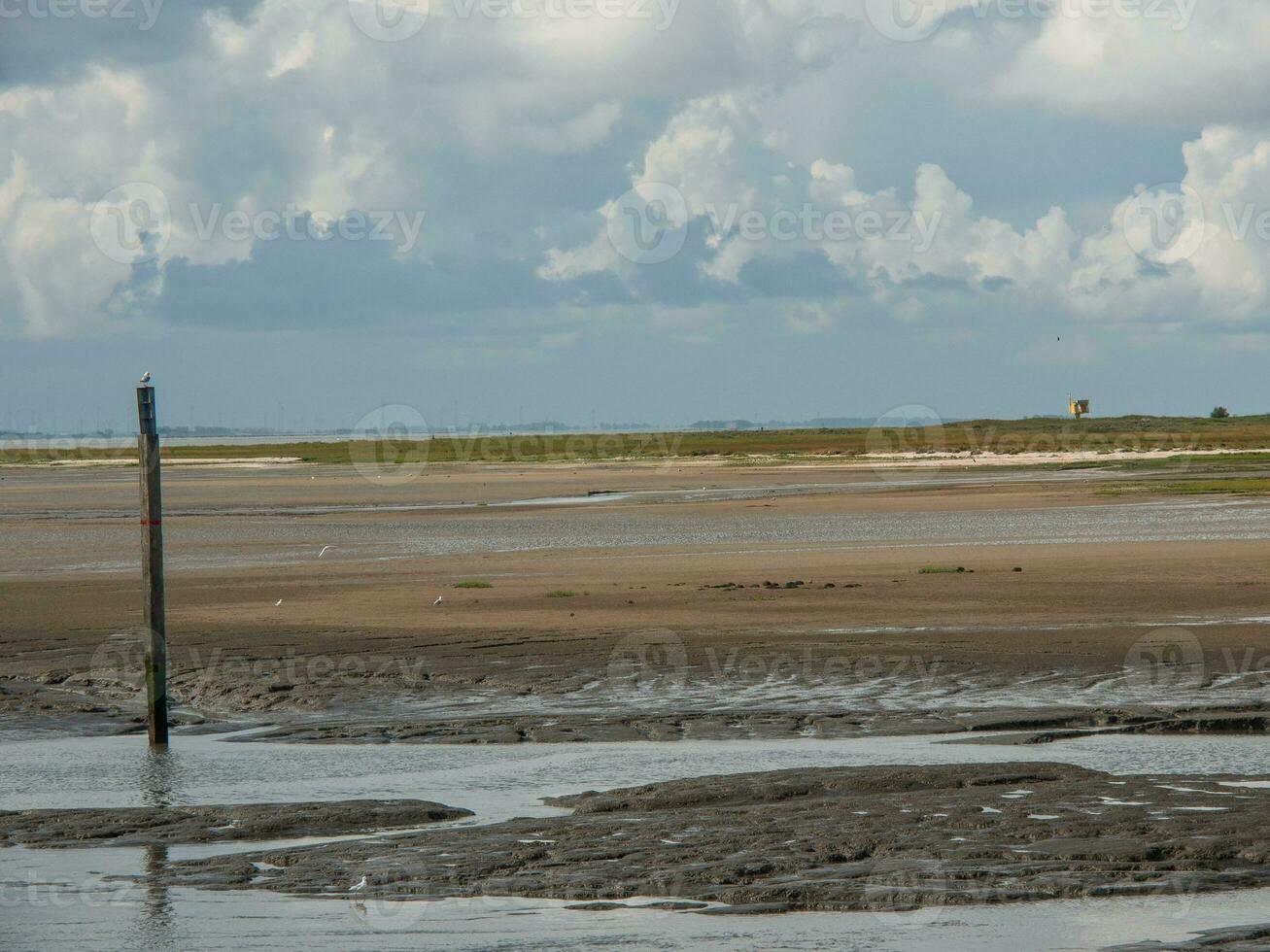 die Insel Spiekeroog foto