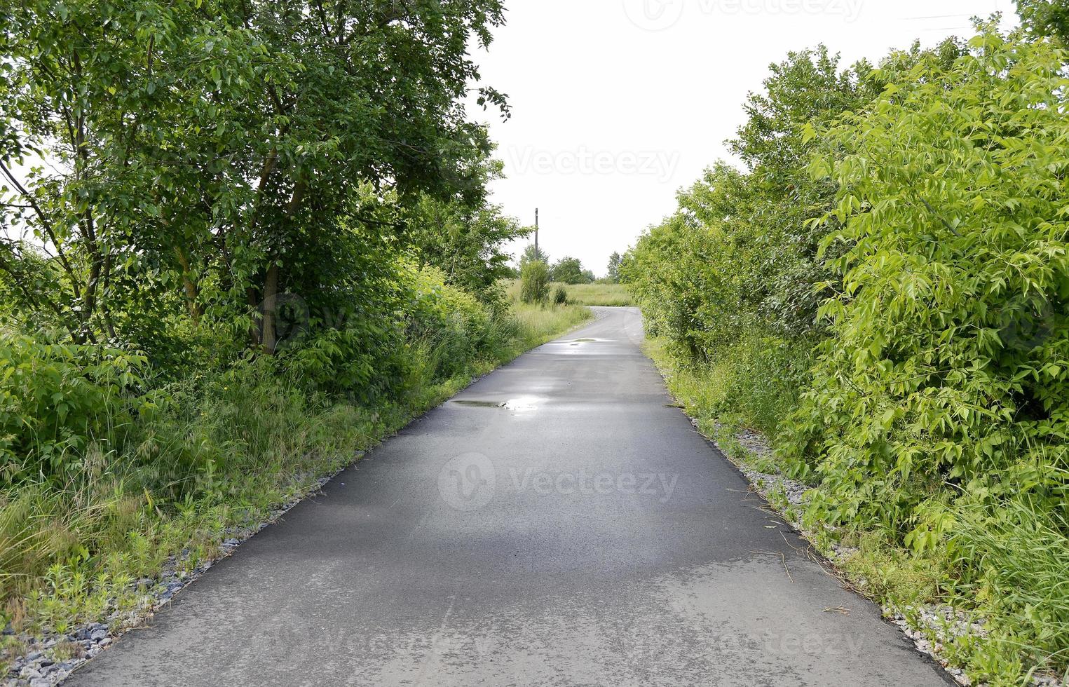 schöne leere Asphaltstraße in der Landschaft auf farbigem Hintergrund foto