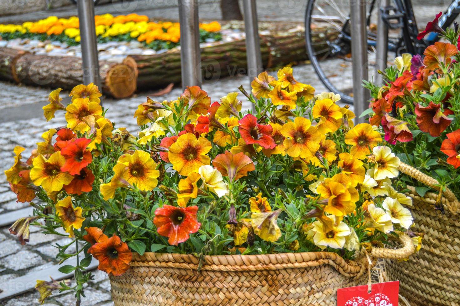 Blumenfest in Girona Temps de Flors, Spanien. 2018 foto