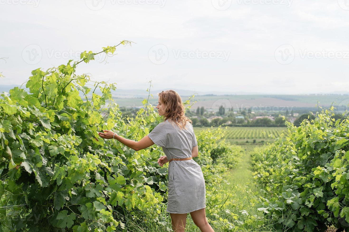 Frau, die in einem Weinberg spazieren geht und die Trauben riecht foto