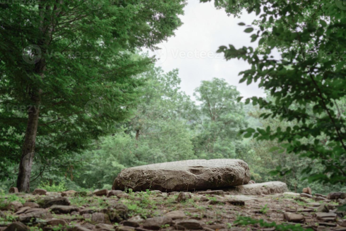 großer Stein zum Meditieren in einem grünen Wald foto