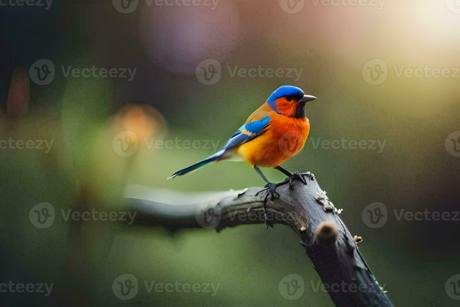 ein bunt Vogel sitzt auf ein Ast im das Sonne. KI-generiert foto