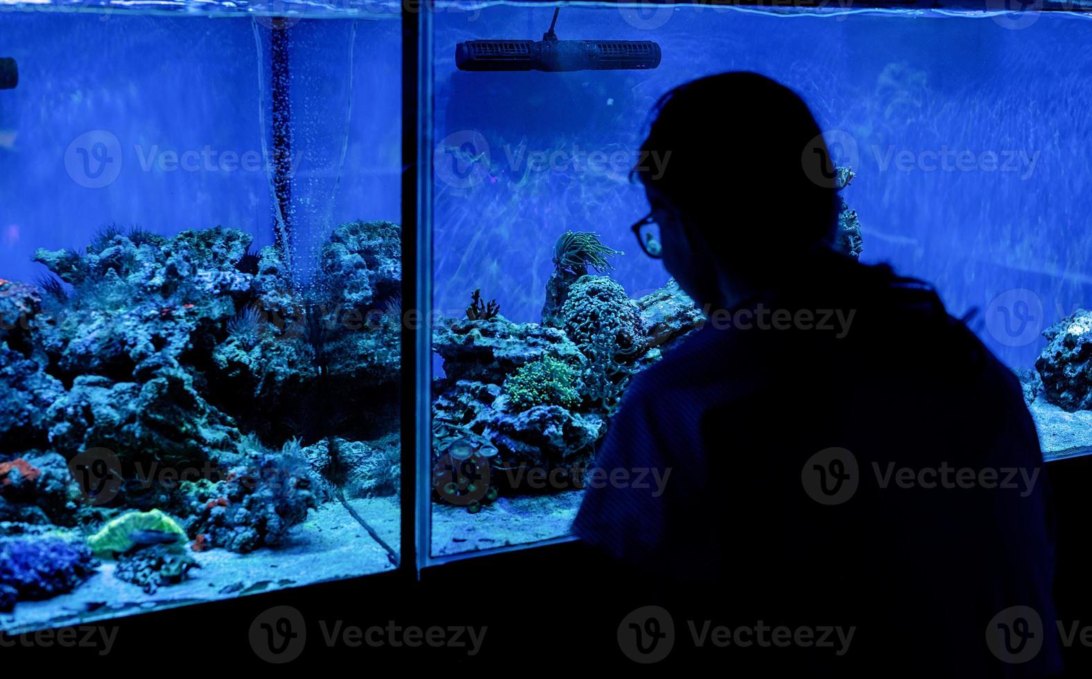 Frauensilhouette, die Aquarien mit Fischen im Ozeanarium beobachtet foto