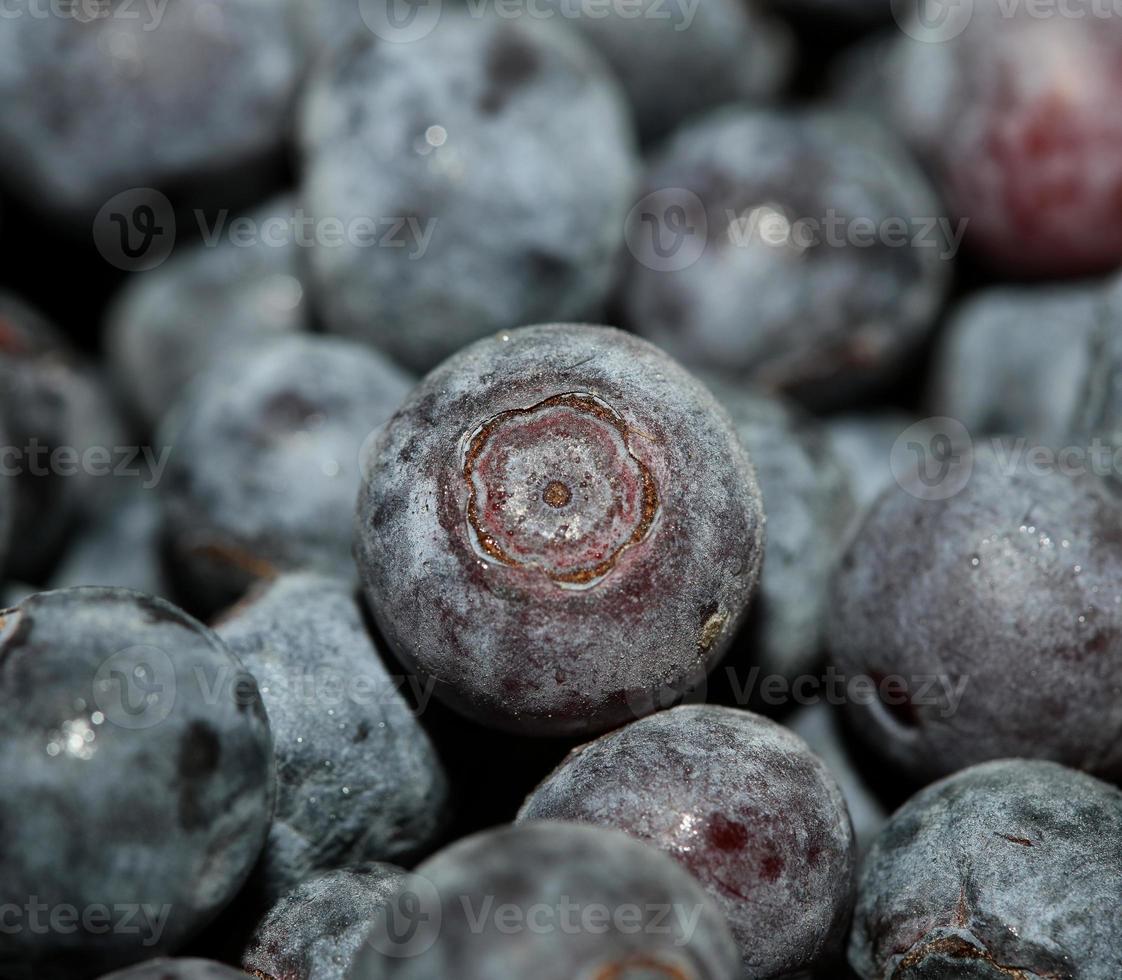 Wilde blaue Beeren Makro Hintergrund hochwertige Drucke foto