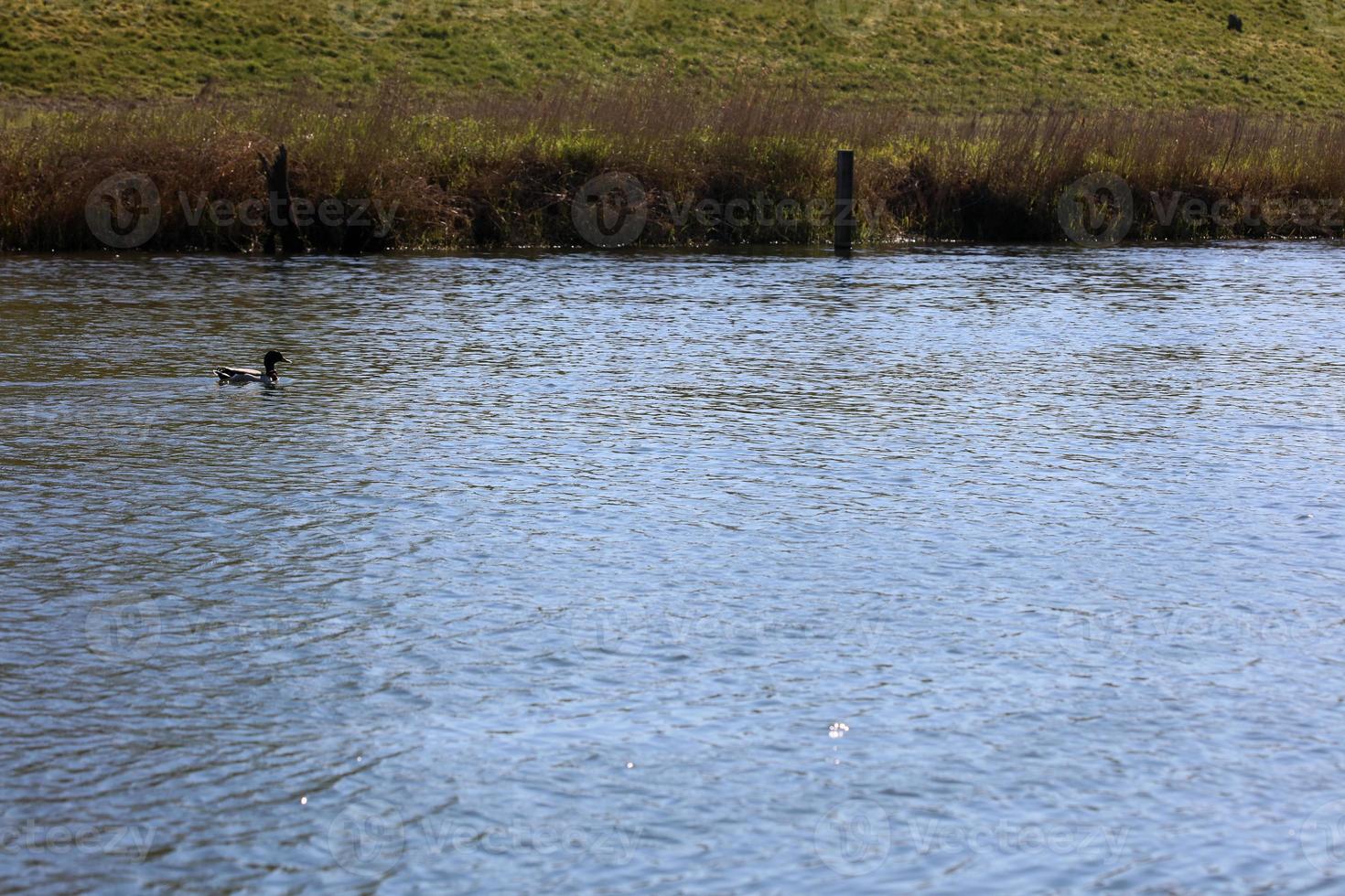 fluss seitenansicht dorsten deutschland koronavirus mal hintergrunddrucke foto