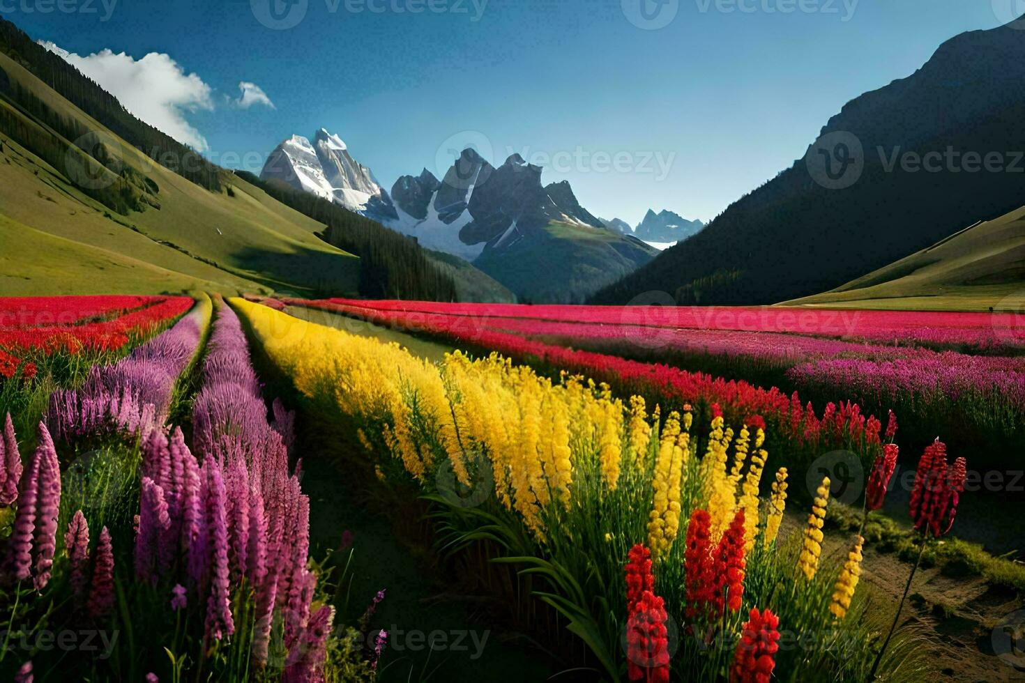 ein Feld von bunt Blumen im Vorderseite von Berge. KI-generiert foto