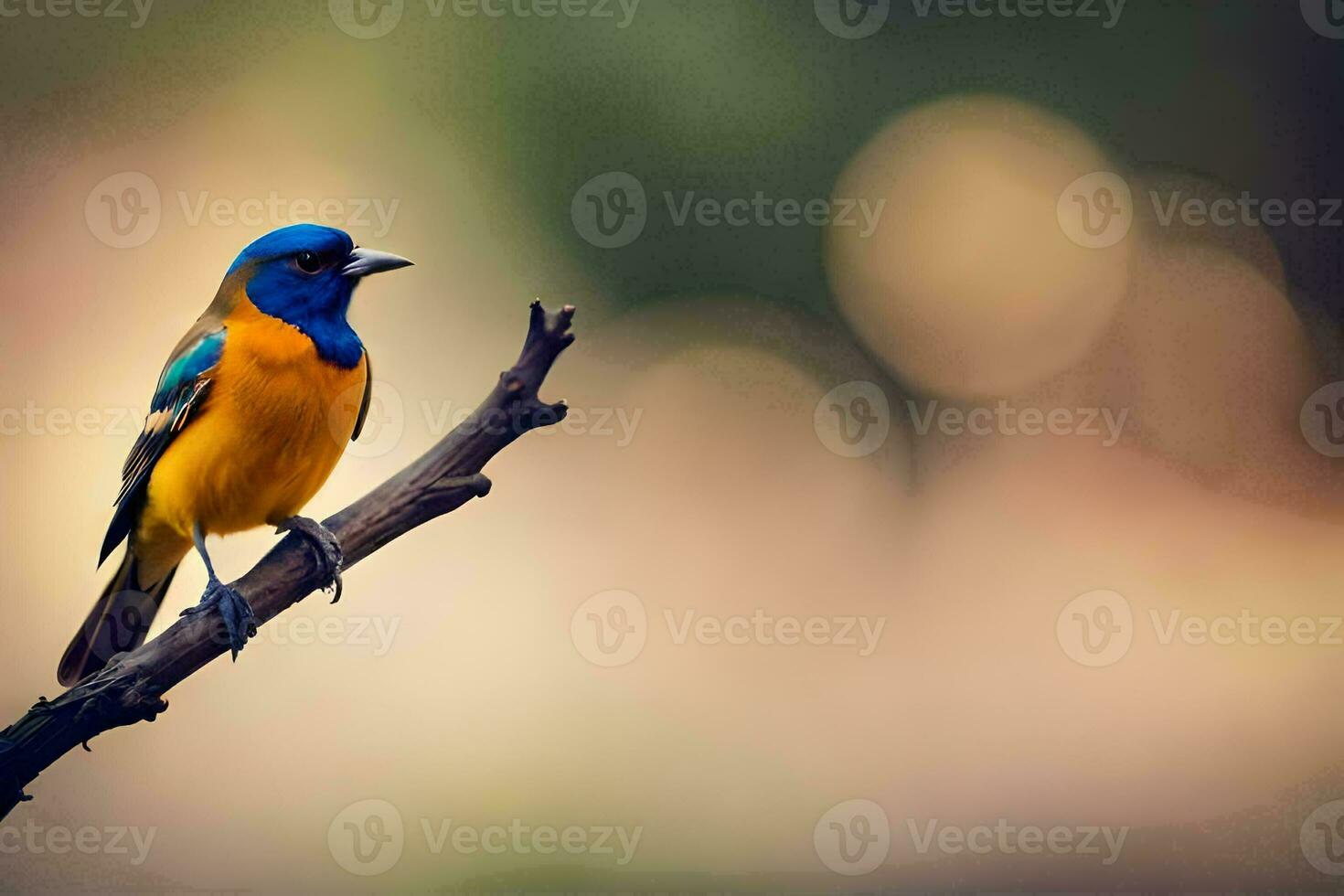 ein Blau und Orange Vogel Sitzung auf ein Ast. KI-generiert foto