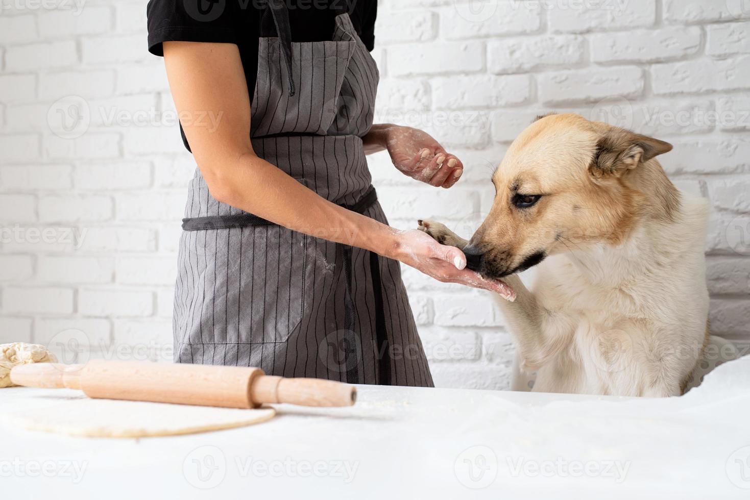 Frau, die zu Hause Teig knetet, während ihr Hund daneben sitzt foto