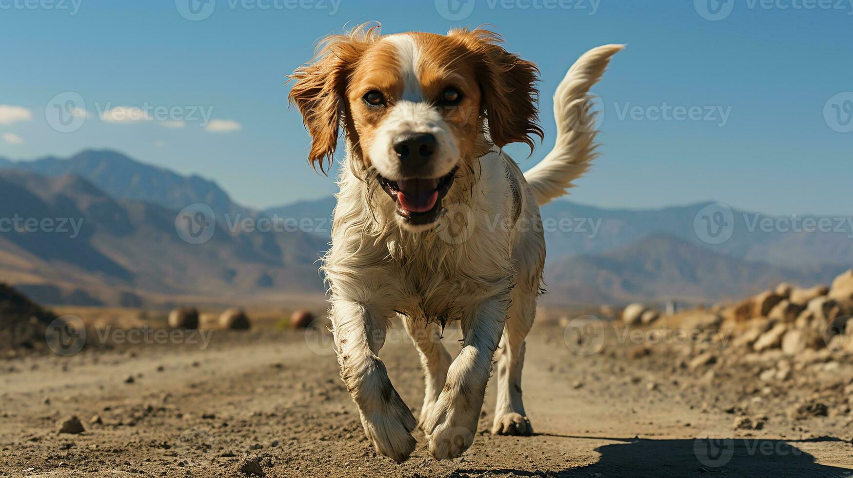 ein Hund allein auf das Straße, ai generiert foto