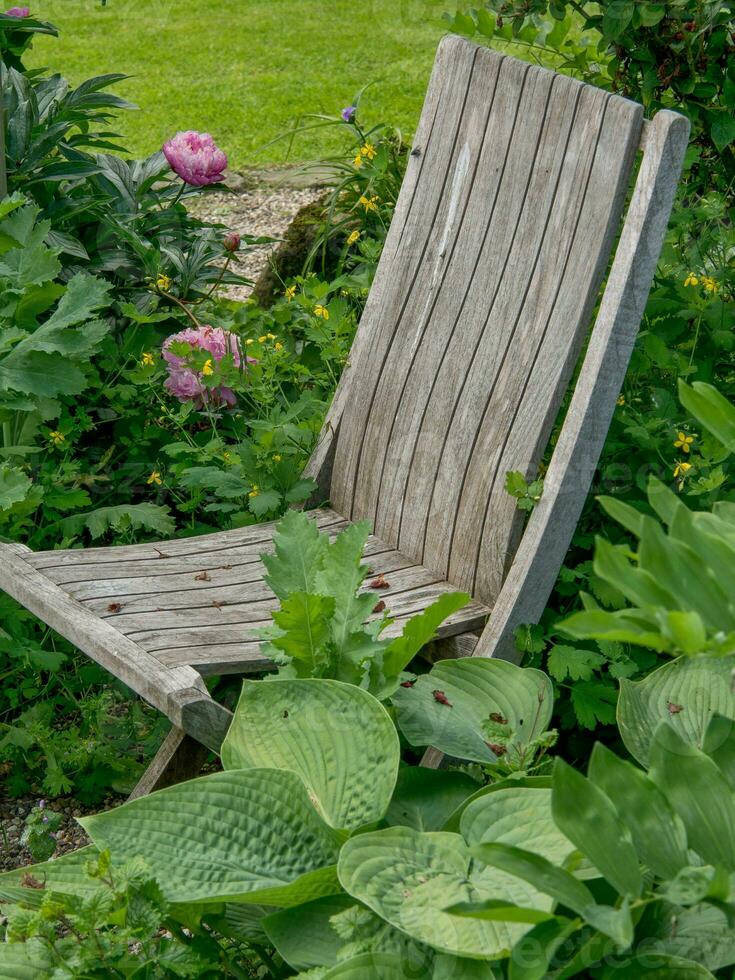 Sommerzeit im Garten foto