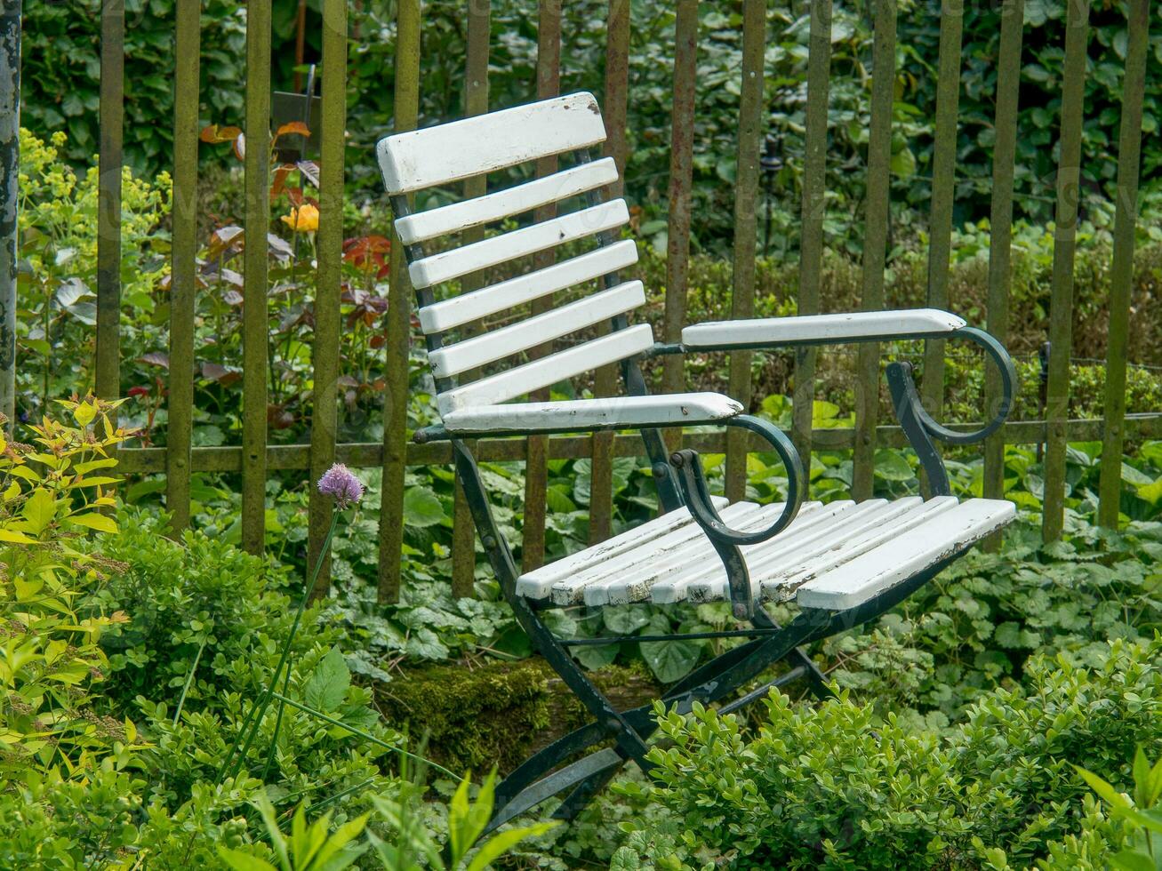 Sommerzeit im Garten foto