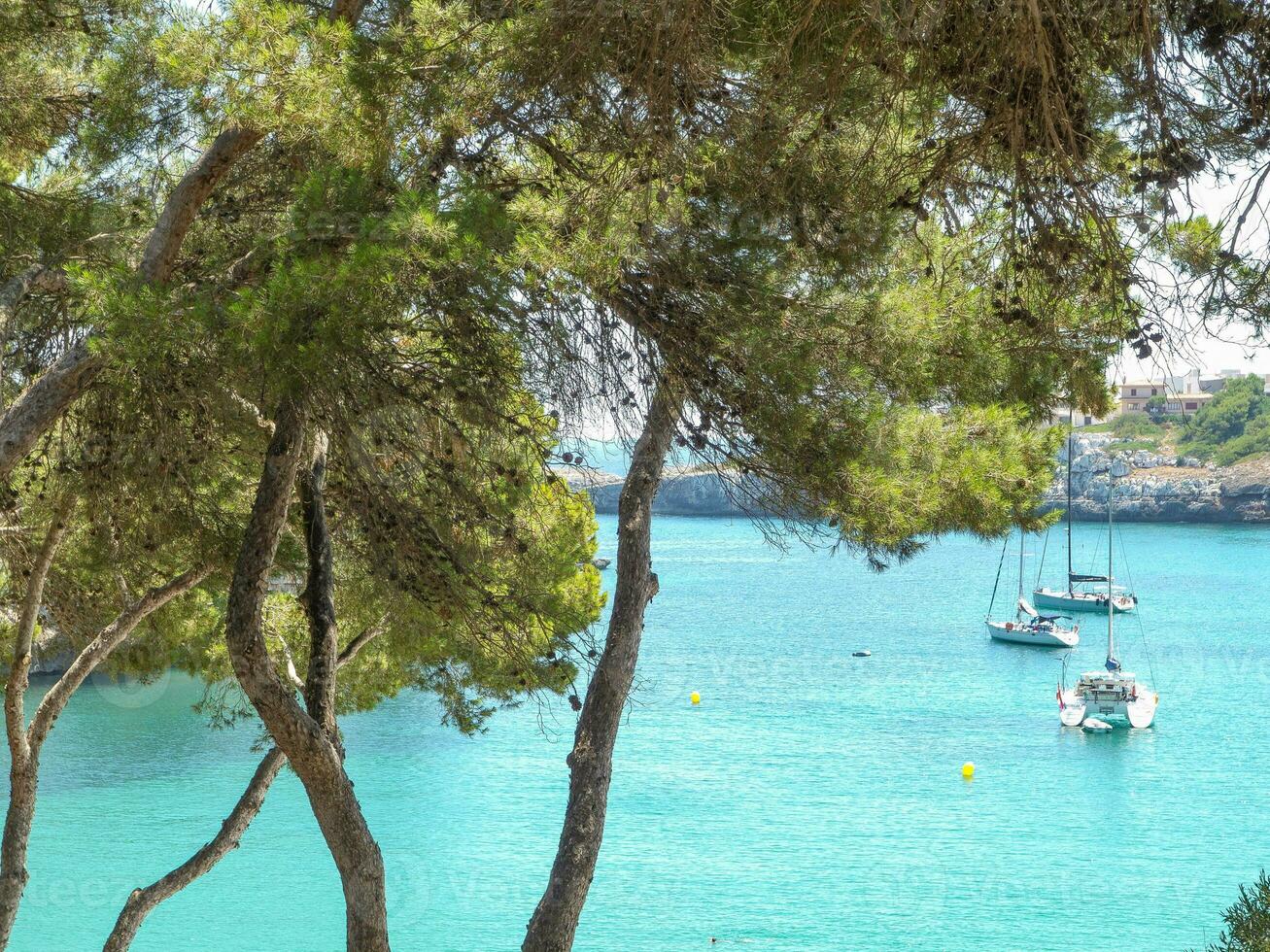 das Insel von Mallorca foto