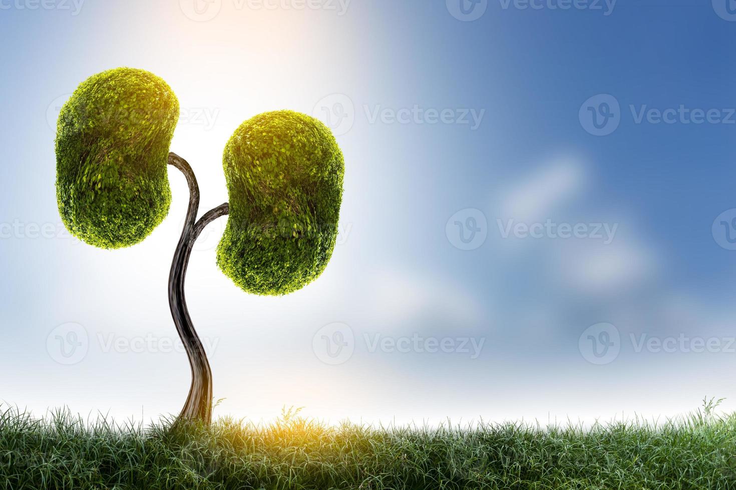 Bäume Nieren 3D Umwelt- und Medizinkonzepte foto