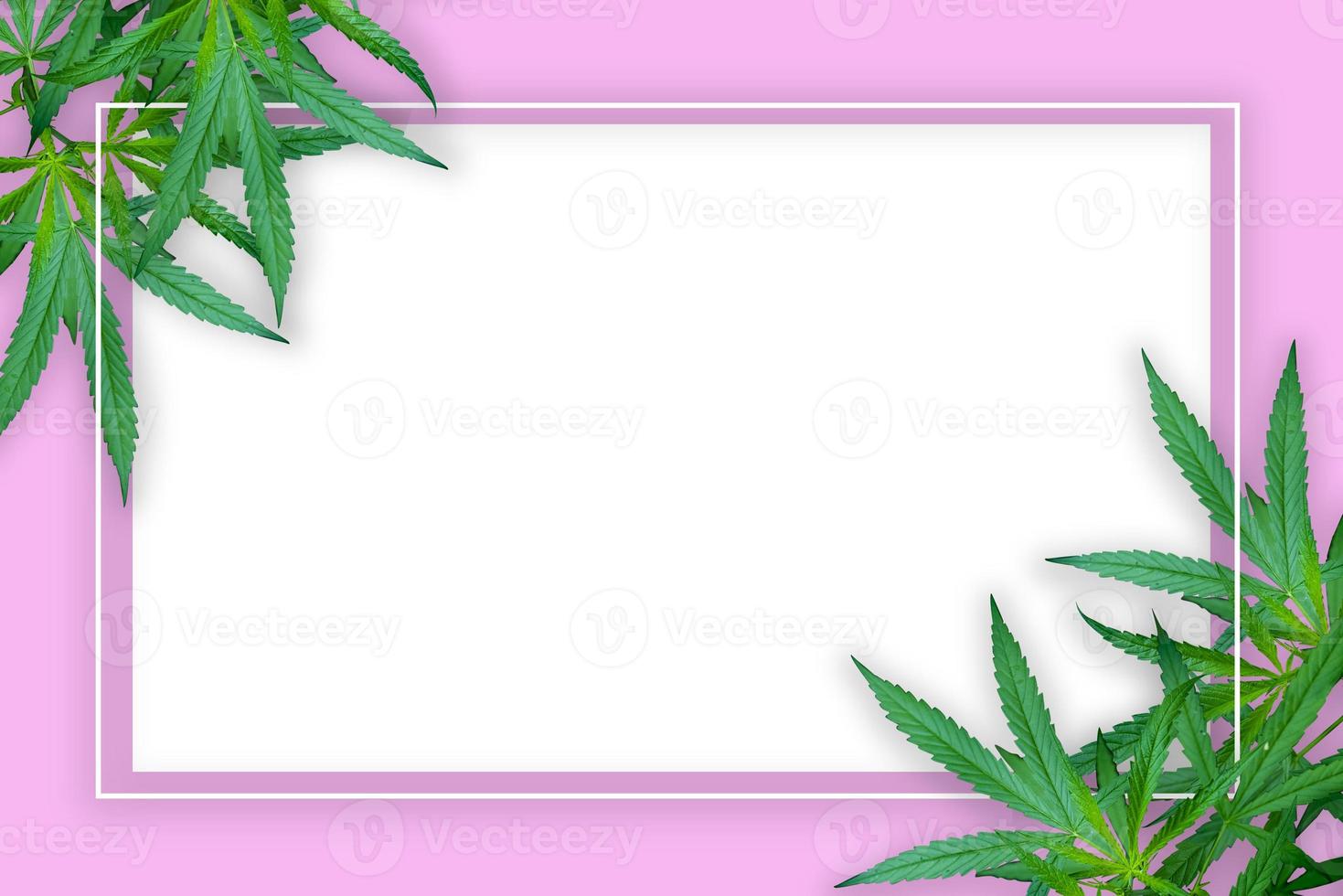 Marihuana-Blatt-Illustrationen auf dunklem Cannabis-Hintergrund foto