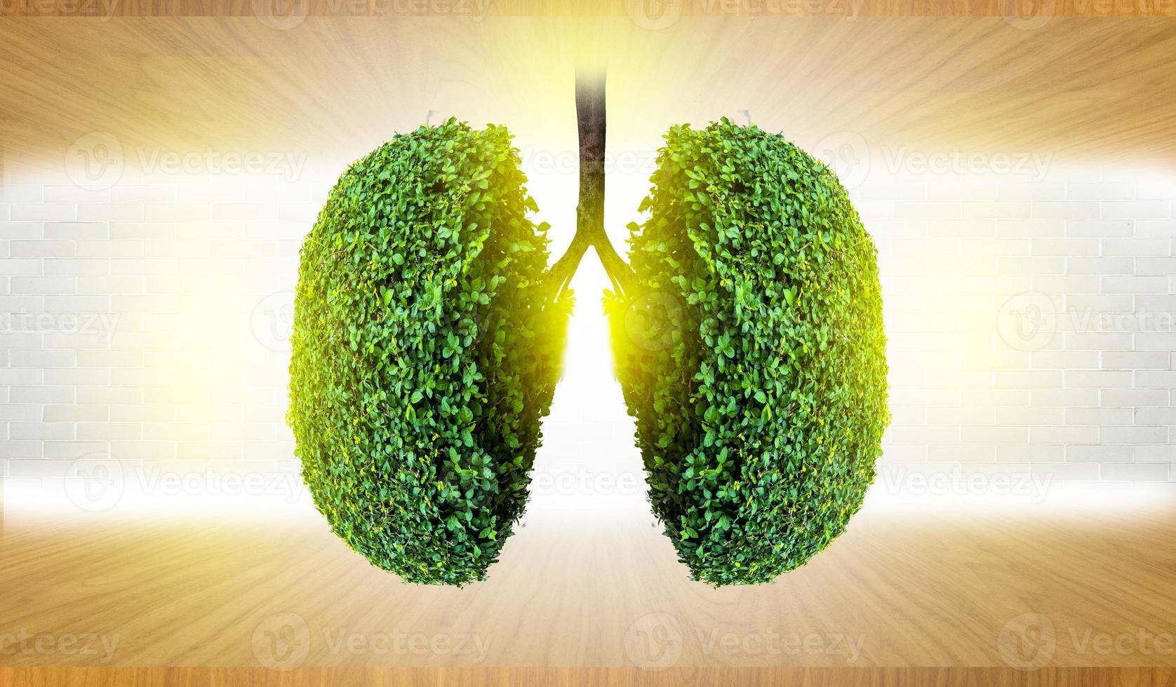 Illustration der Lungenbaumumgebung und Medizin foto