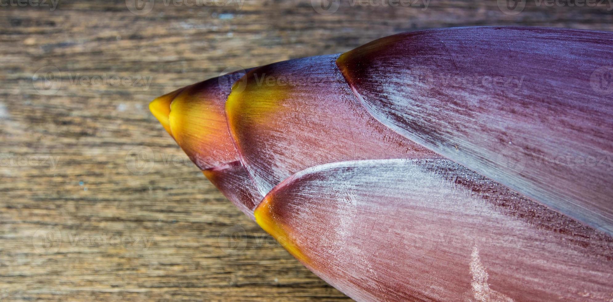 silberner buggoe bananenblüte foto