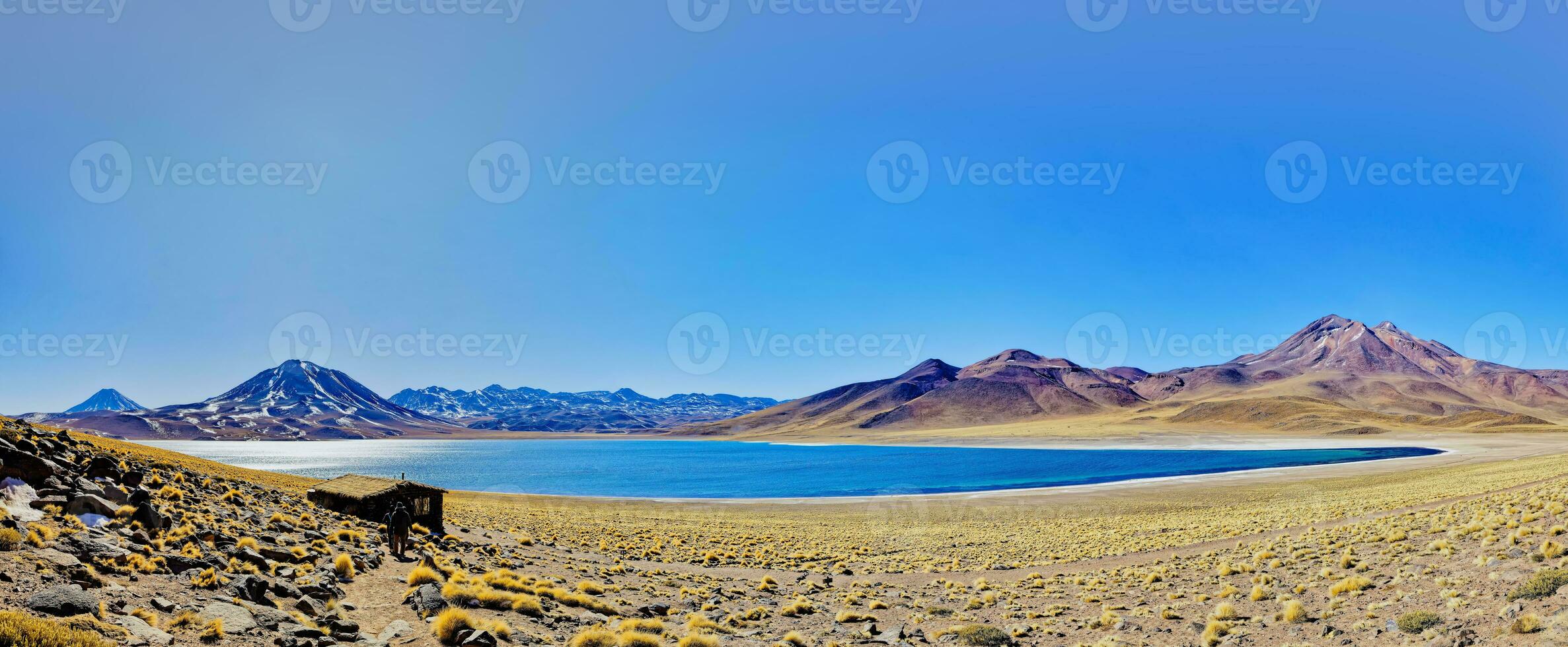 miscanti altiplanisch Lagune im das Atacama Wüste - - san pedro de Atacama. foto