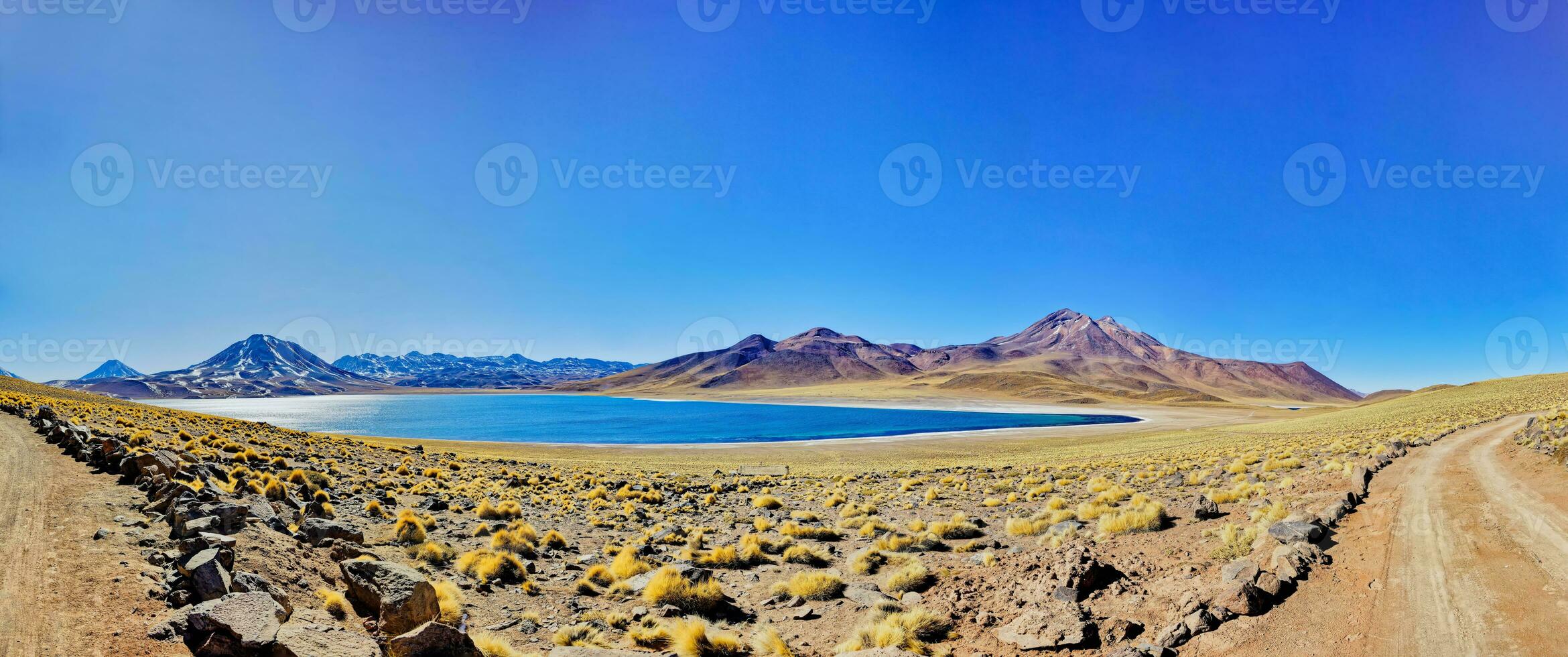 miscanti altiplanisch Lagune im das Atacama Wüste - - san pedro de Atacama. foto