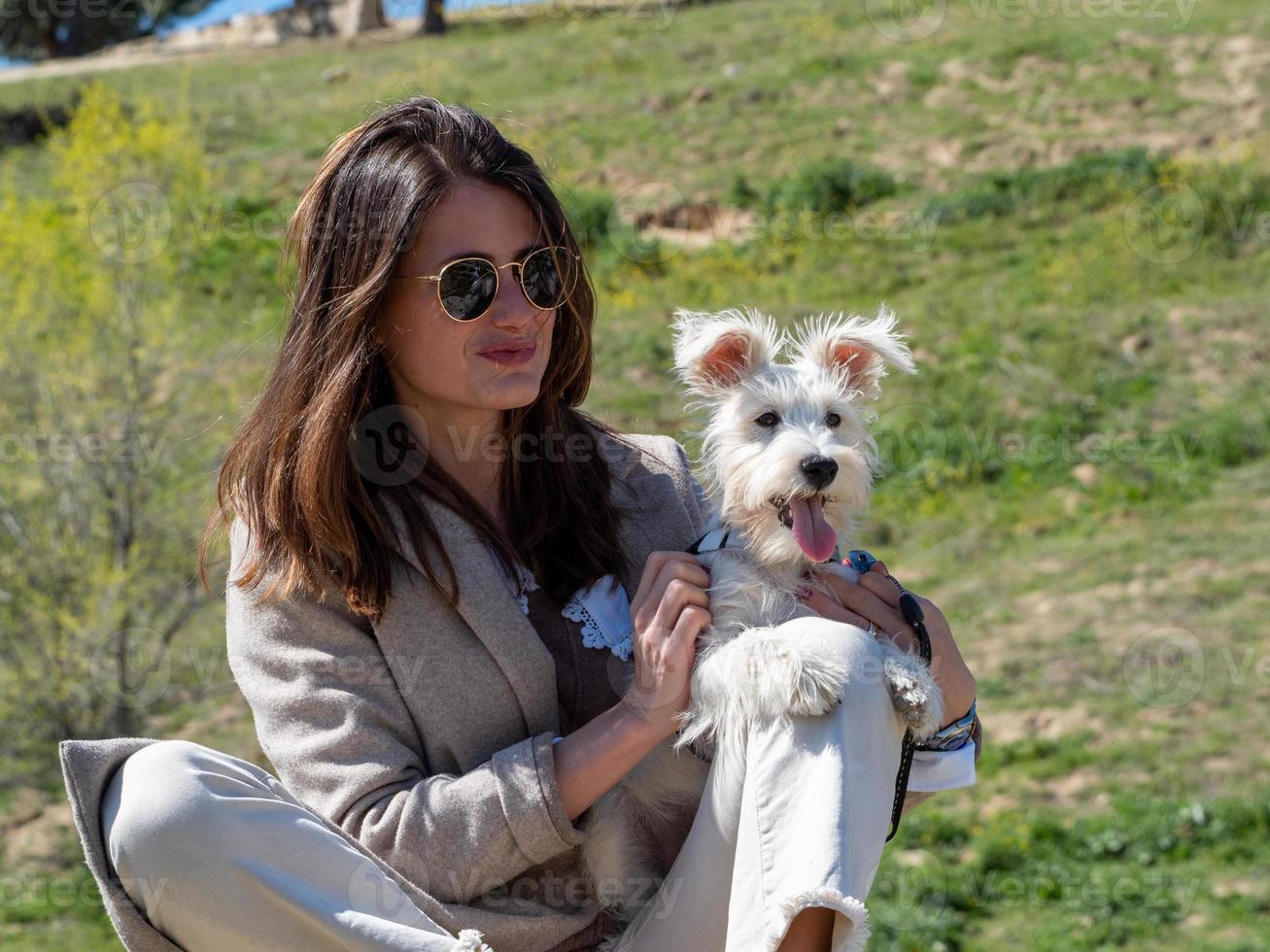 junge Frau sitzt in einem Feld, mit ihrem weißen Schnauzer-Welpen. foto