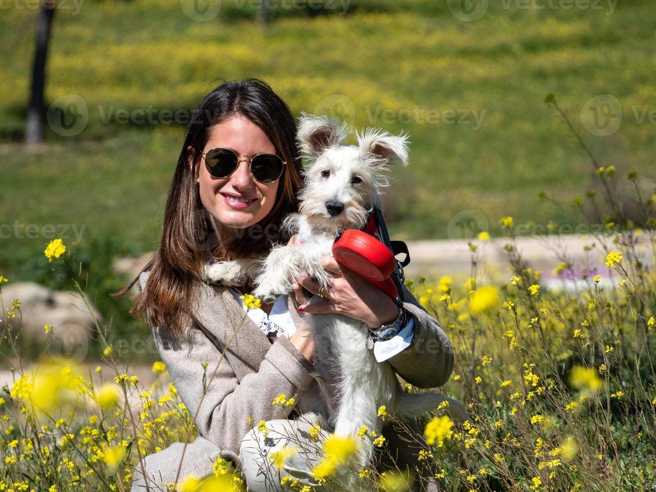 Frau mit weißem Schnauzerhund im gelben Blumenfeld foto