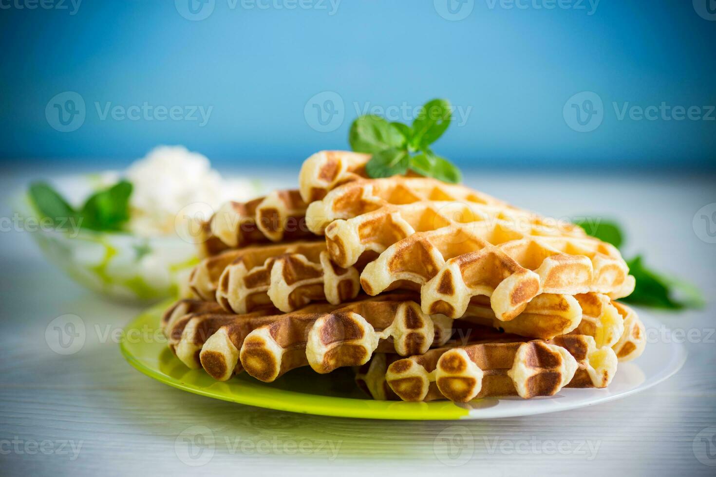 Süss Hütte Käse Wafer mit ein Zweig von Minze im ein Teller foto