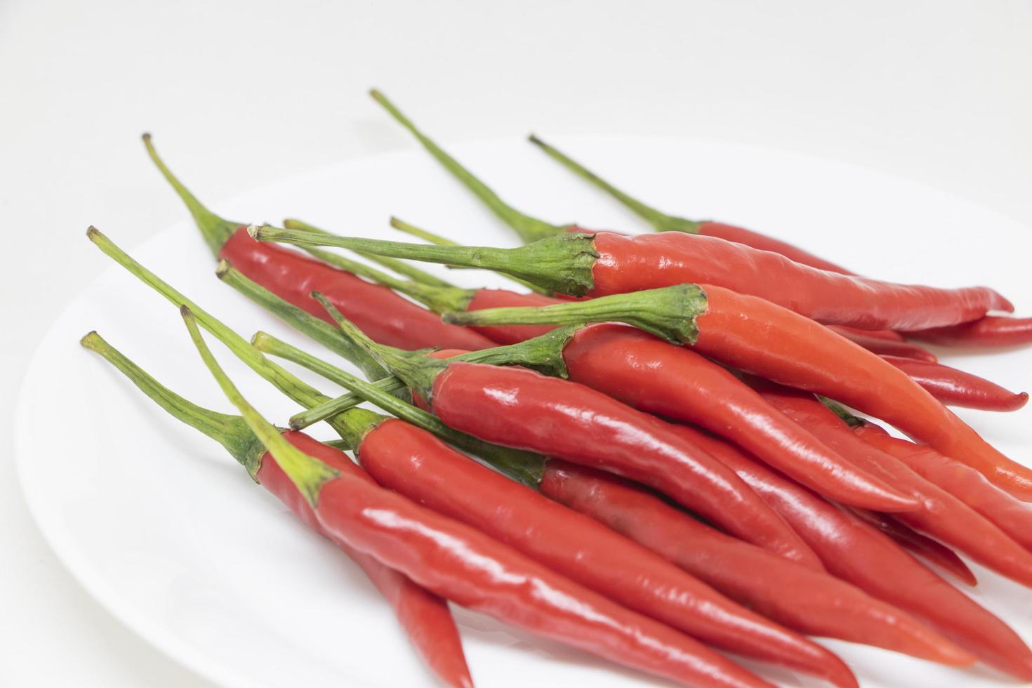 rote Paprika auf einem weißen Teller auf weißem Hintergrund foto
