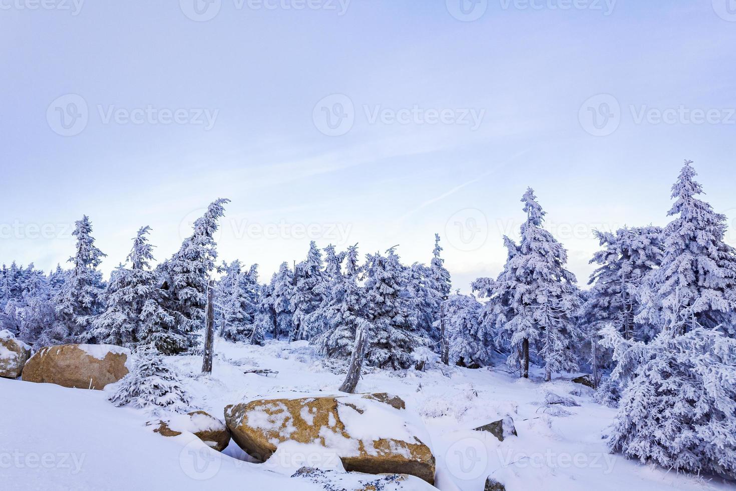 eingeschneit in eisigen tannen landschaft brocken berg harz deutschland foto