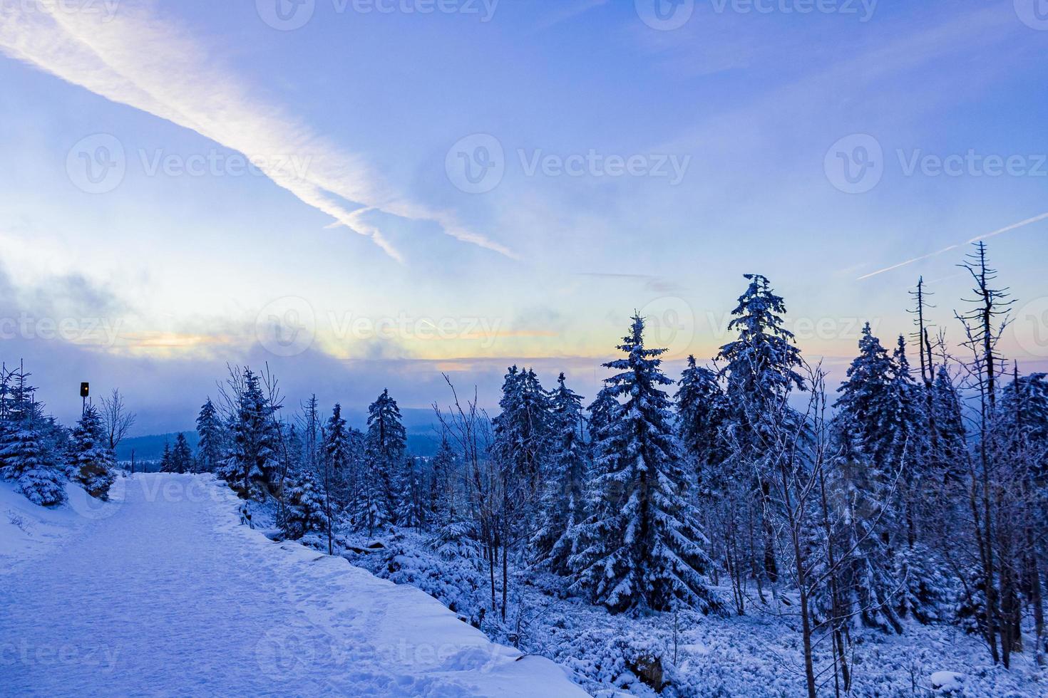 waldlandschaft bei nacht eisige tannen brockenberg deutschland. foto