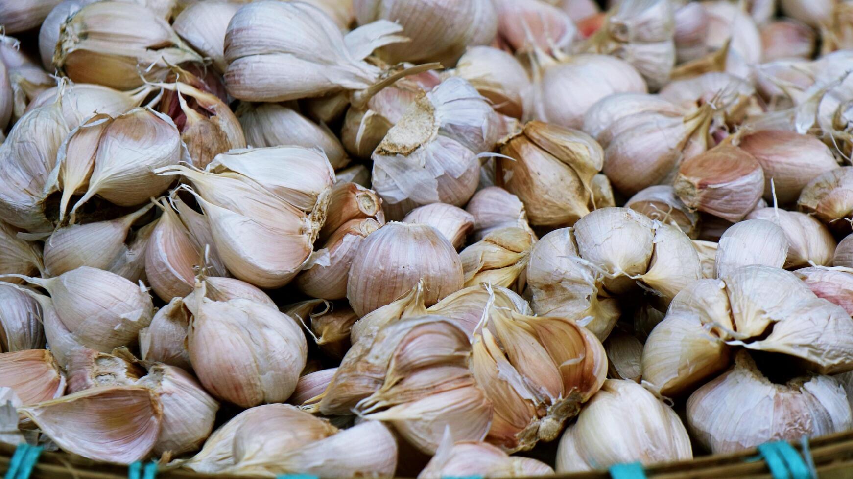 Bündel weiße Zwiebeln auf dem traditionellen Markt foto