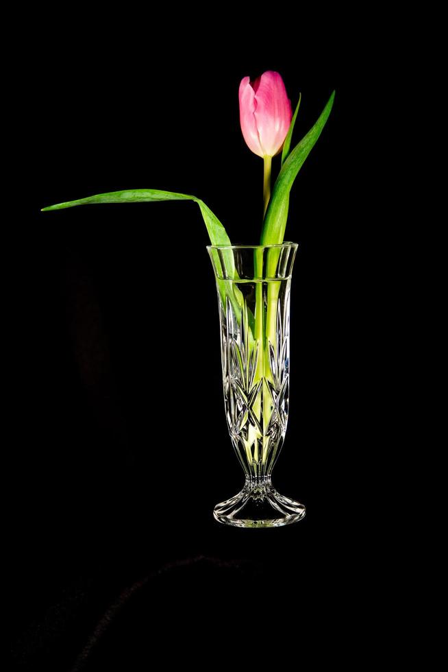 rosa Tulpe in einer Vase foto