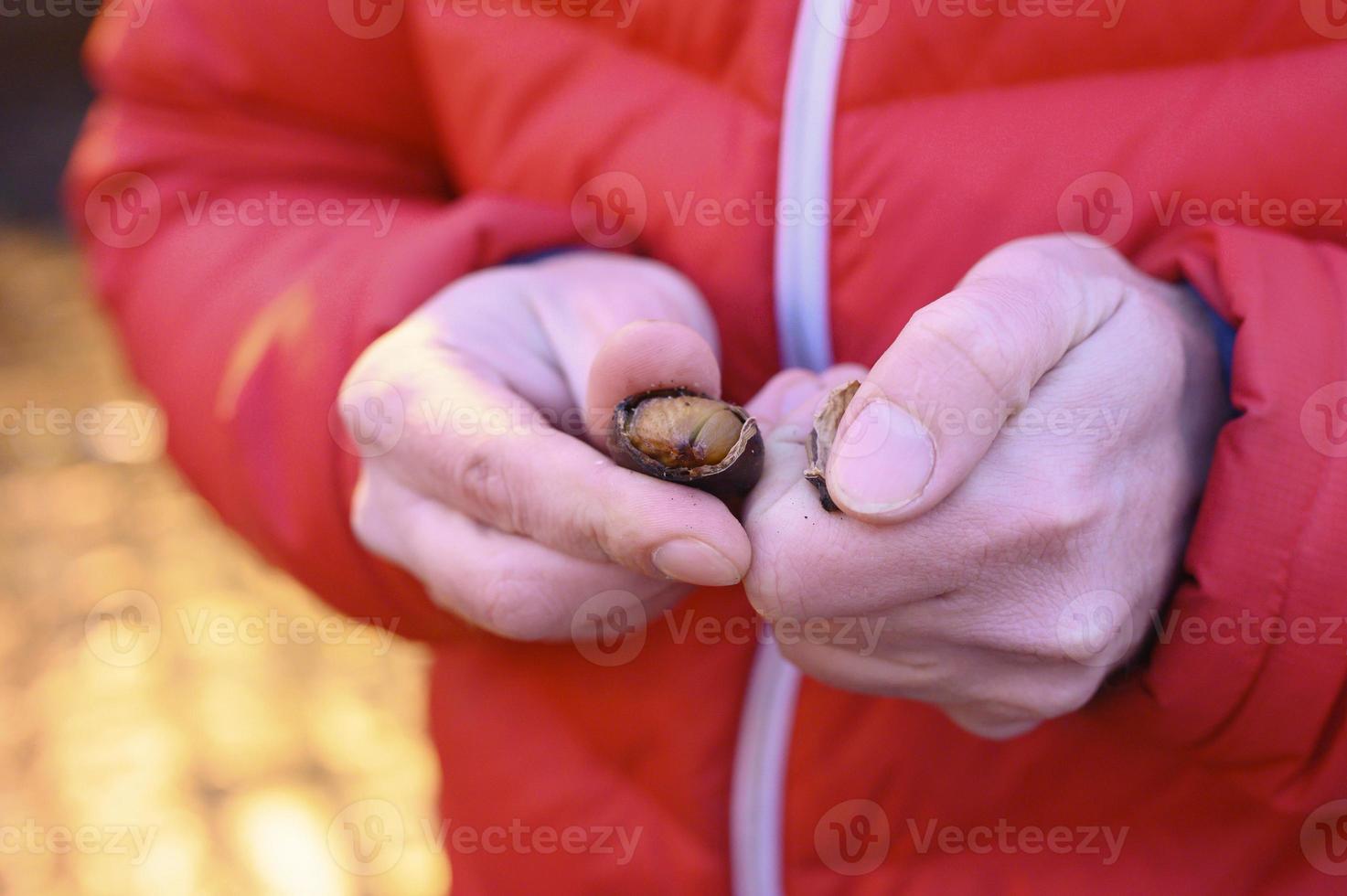 Kastanien geröstet hand foto