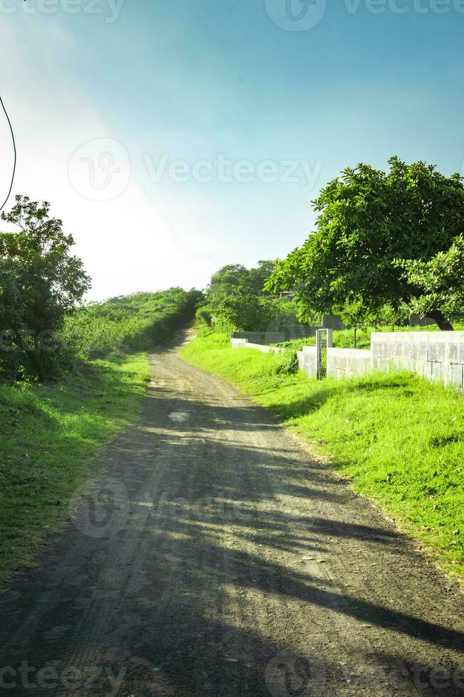 ein Straße umgeben durch Bäume mit Wolken und Blau Himmel, ein Straße umgeben durch Bäume auf ein sonnig Tag mit Kopieren Raum foto