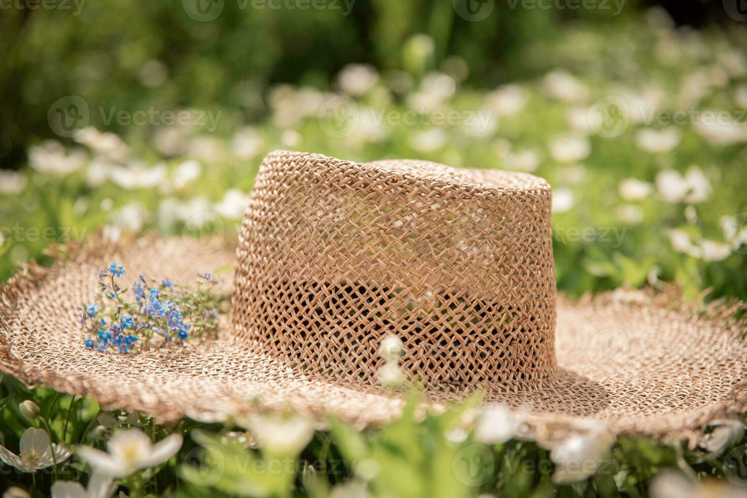 Blau vergessen Sie mich nicht Blumen auf ein Stroh Hut foto