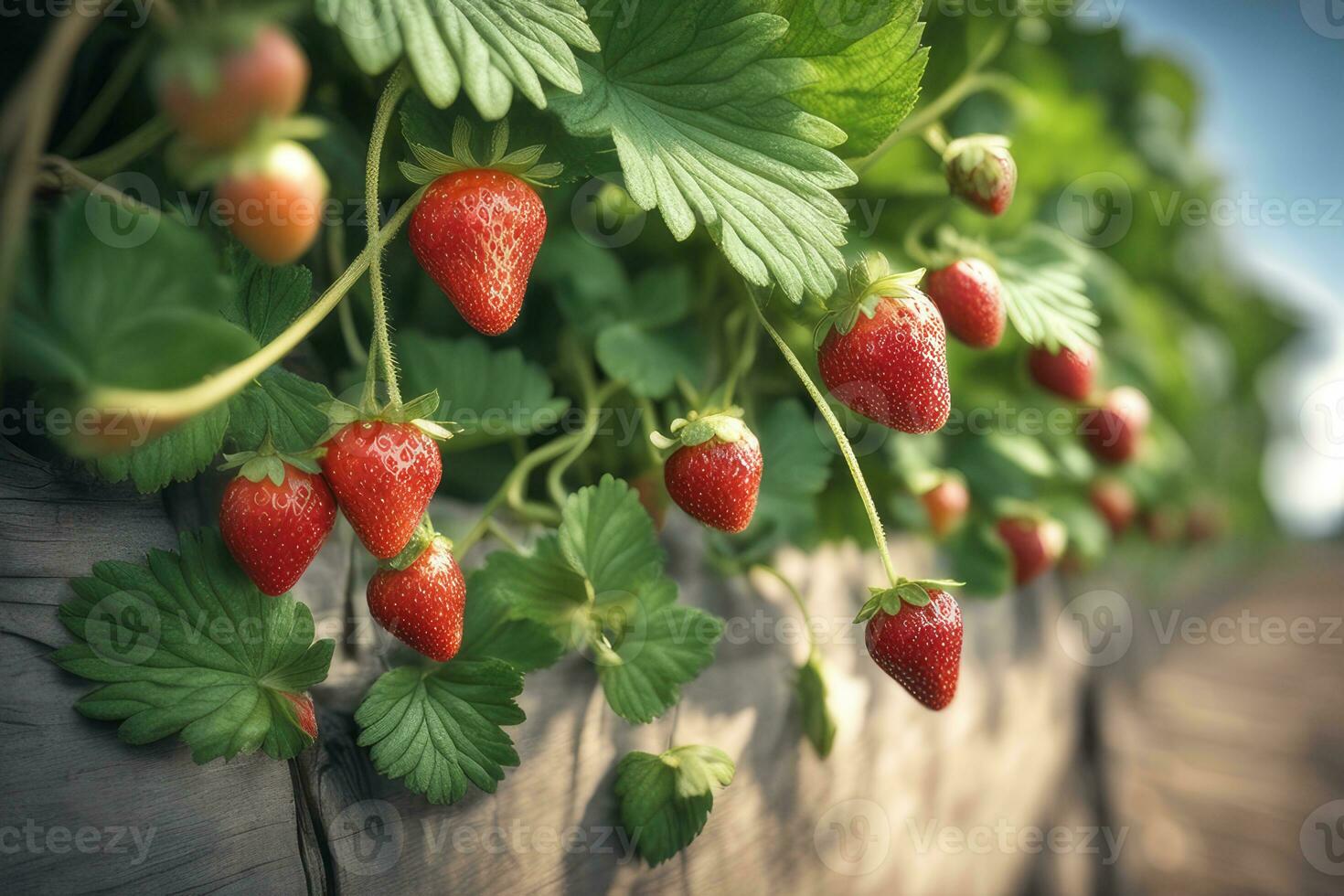 Erdbeere Ranke bedeckt im reif Obst durch ai generativ foto